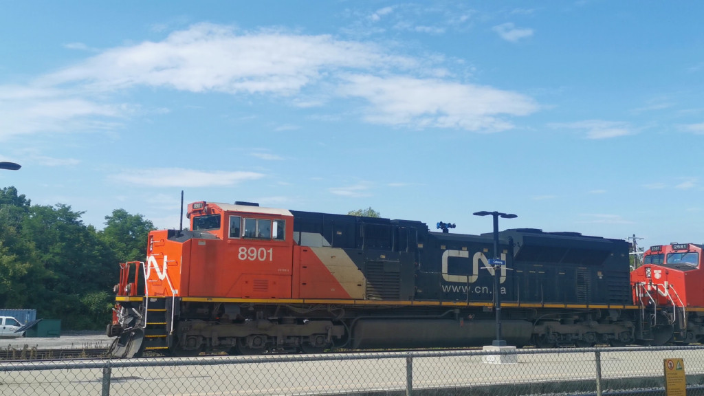 CN 8901